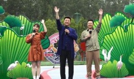 杨帆微博爆料视频大全最新,揭秘娱乐圈幕后真相