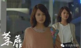 荼蘼台剧全集在线观看,台剧全集在线观看，情感纠葛与人生抉择的悲喜交织