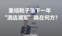静流最新爆料新闻,最新爆料事件背后的真相与内幕