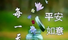 好朋友在线观看,云端观影时光