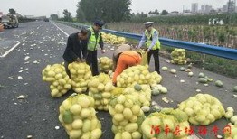 泗水吃瓜群众爆料视频,揭秘事件真相
