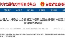 安徽每日新闻爆料网站大全,一网打尽本地资讯平台