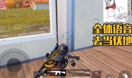 最新爆料和平精英主播是谁,最新爆料，平精英神秘主播竟是...