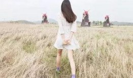 娱乐大爆料背影照片高清