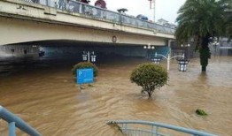 桂林解放桥今日新闻爆料