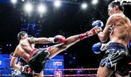 吃瓜娱乐拳击比赛直播在线观看,精彩拳击比赛，吃瓜娱乐一网打尽