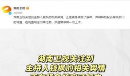 娱乐圈吃瓜合集文件,揭秘明星幕后故事与精彩瞬间