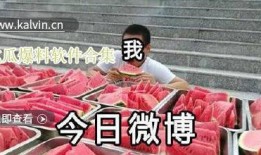 吃瓜爆料大全免费观看视频,免费观看热门视频，一网打尽娱乐圈风云