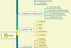 瓶子爆料画师视频大全集,画师视频大全集精彩瞬间回顾