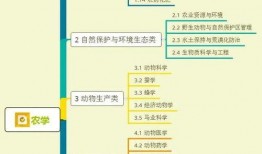 瓶子爆料画师视频大全集,画师视频大全集精彩瞬间回顾