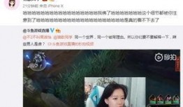 袁小妹直播爆料视频大全,揭秘视频大全背后的精彩瞬间