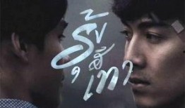 灰色彩虹在线观看,探索色彩斑斓的人生旅程