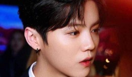 娱乐爆料社鹿晗,娱乐爆料社独家揭秘，明星背后的故事