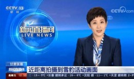 cctv13在线直播观看中央一套直播,CCTV-13在线直播，中央一套精彩内容不间断