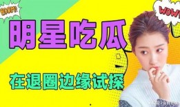 吃瓜娱乐透明表情包,网络热传背后的趣味与思考