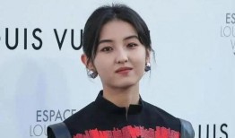 娱乐圈爆料小菊,揭秘明星背后的秘密与真相
