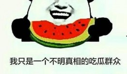 吃瓜的我全集免费,揭秘娱乐圈背后的真相与秘密