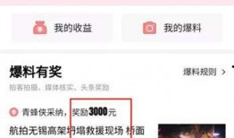 广州爆料今日头条视频回放,揭秘城市热点事件背后的真相