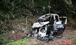 最新车祸新闻爆料网,事故详情及伤亡情况披露