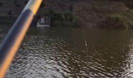 钓鱼人爆料最新,最新钓鱼技巧与心得分享